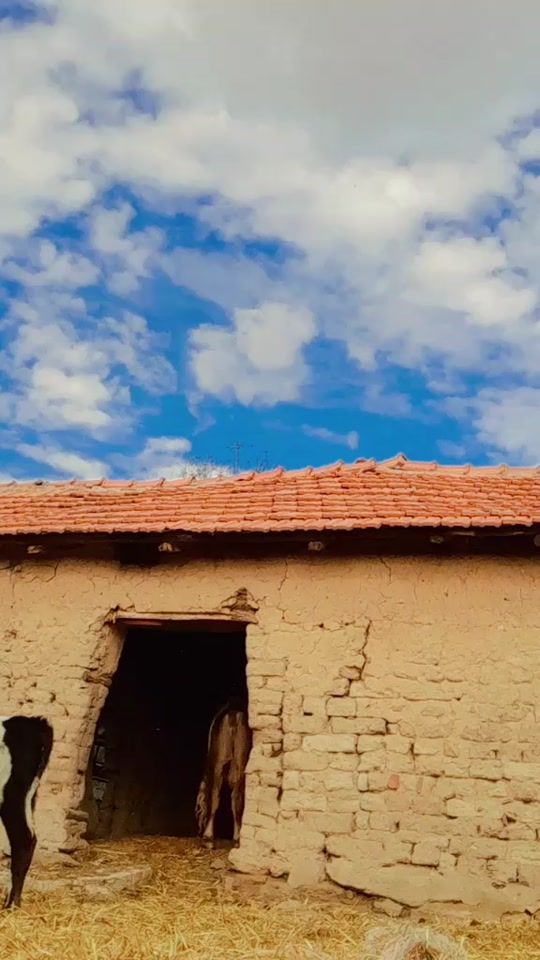 TikTok video thumbnail by isusdimitrov47