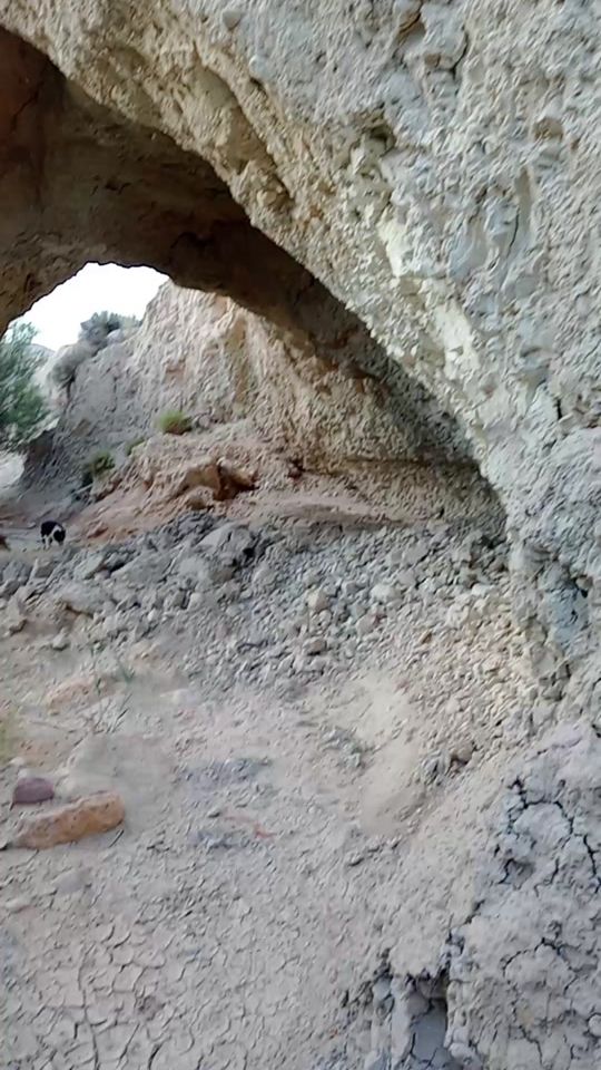 TikTok video thumbnail by ramoneja