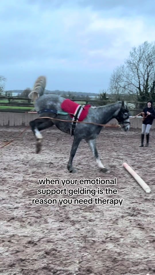 TikTok video thumbnail by mollyandthegreys