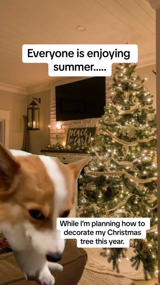 TikTok video thumbnail by heyitshayley7