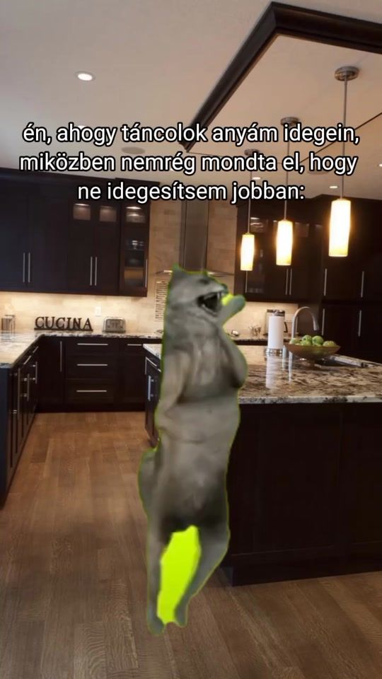 TikTok video thumbnail by lakatos.sziszikee16