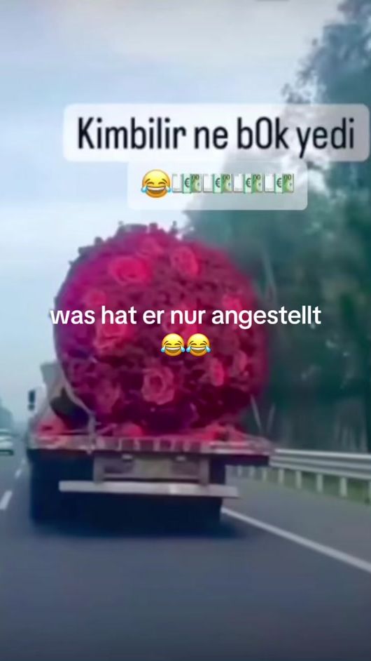TikTok video thumbnail by tc5038_