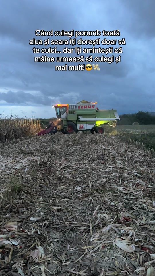 TikTok video thumbnail by oana_lariisa