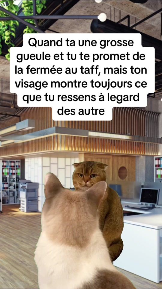 TikTok video thumbnail by fun_humour_rire