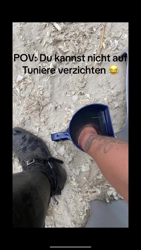 TikTok video thumbnail by verenapesch