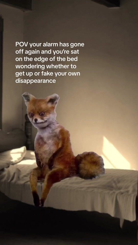 TikTok video thumbnail by dannyrise69