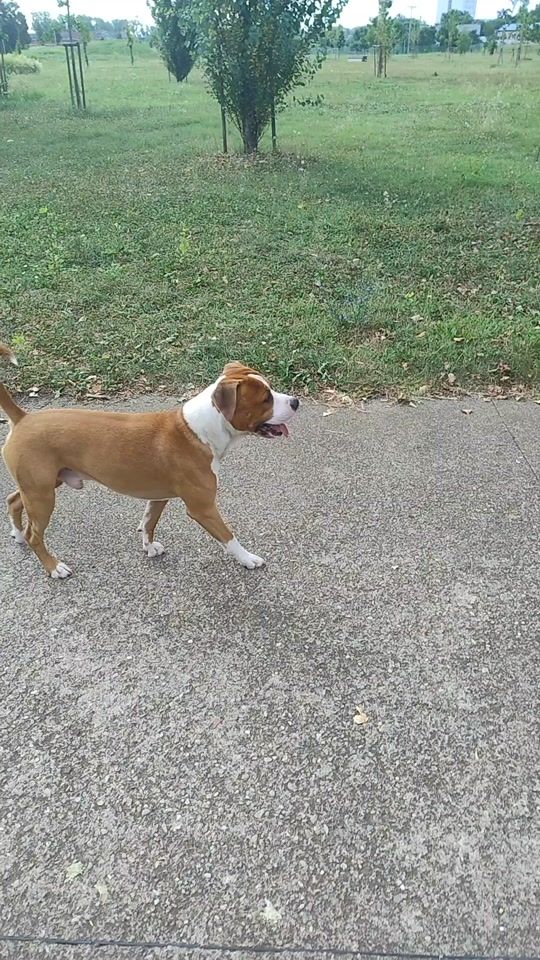 TikTok video thumbnail by lucazotti949