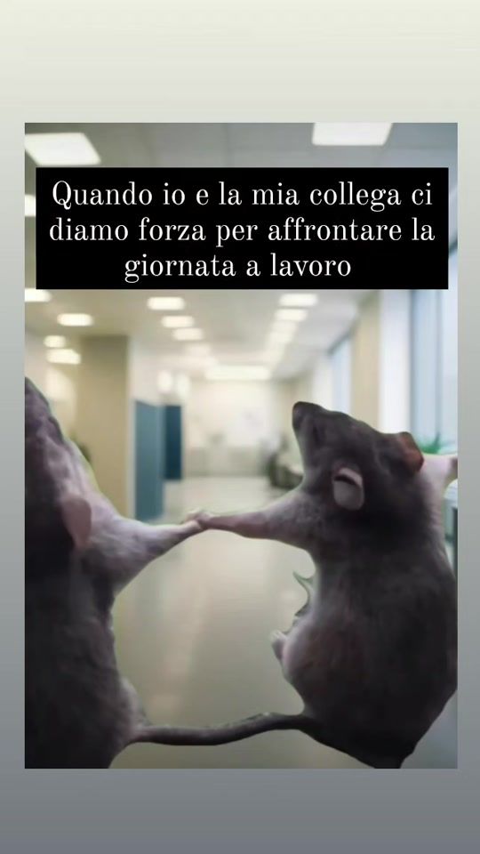 TikTok video thumbnail by girasole949