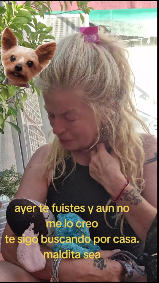 TikTok video thumbnail by isabellasuryfernandez