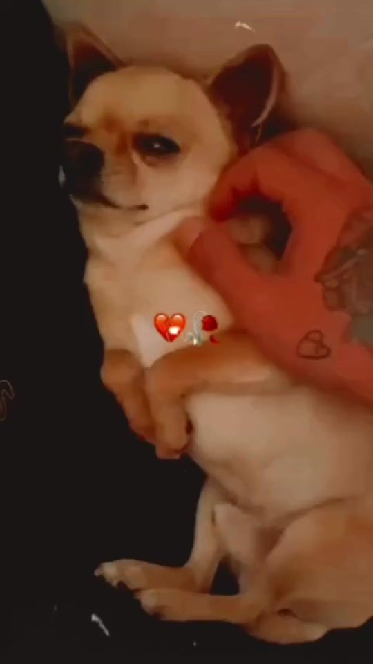 TikTok video thumbnail by sarala.103