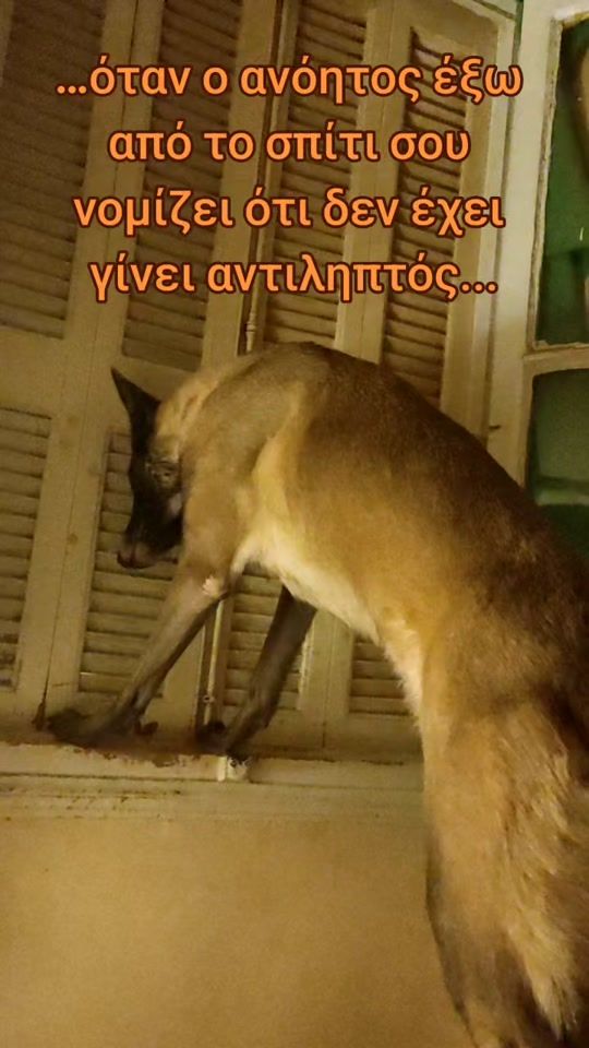 TikTok video thumbnail by christoskoutsiscom