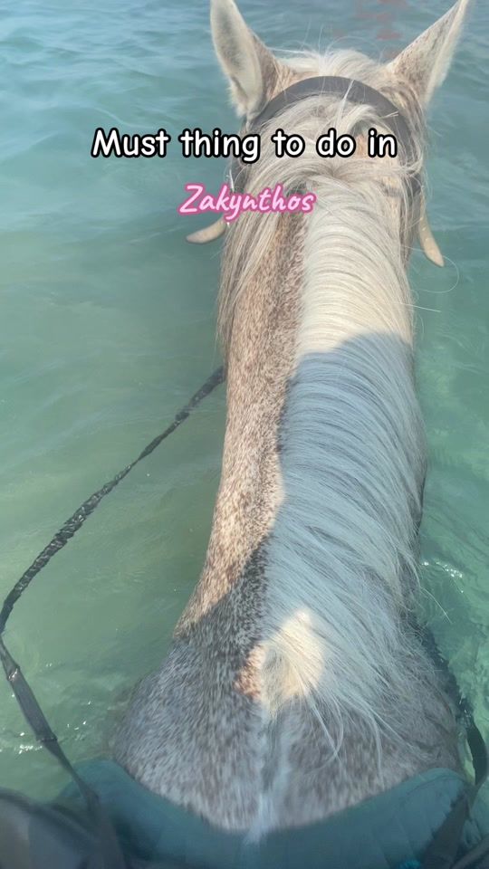 TikTok video thumbnail by sannevanb_