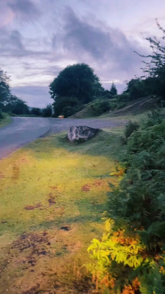 TikTok video thumbnail by mrrandomuk