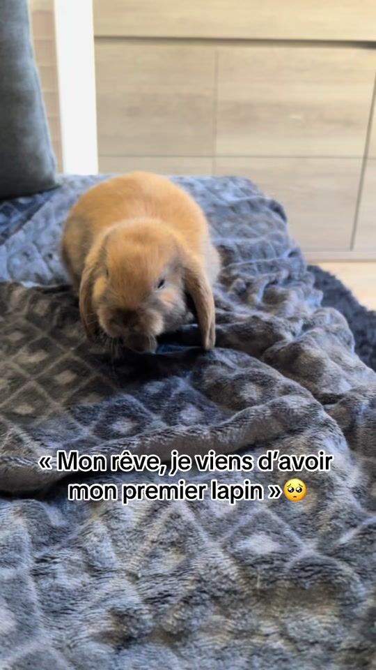 TikTok video thumbnail by starmooon24