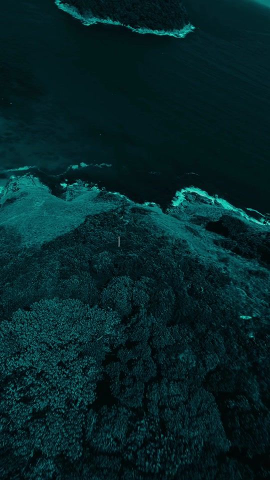 TikTok video thumbnail by moreandmoreclips1