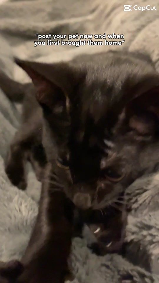 TikTok video thumbnail by mxxm03