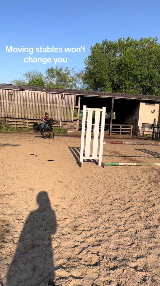 TikTok video thumbnail by my.gelding.maverick1
