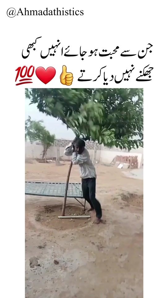 TikTok video thumbnail by ahmadjee311