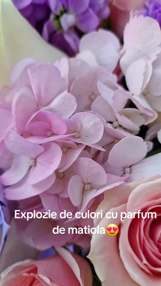 TikTok video thumbnail by smaflowerstudio