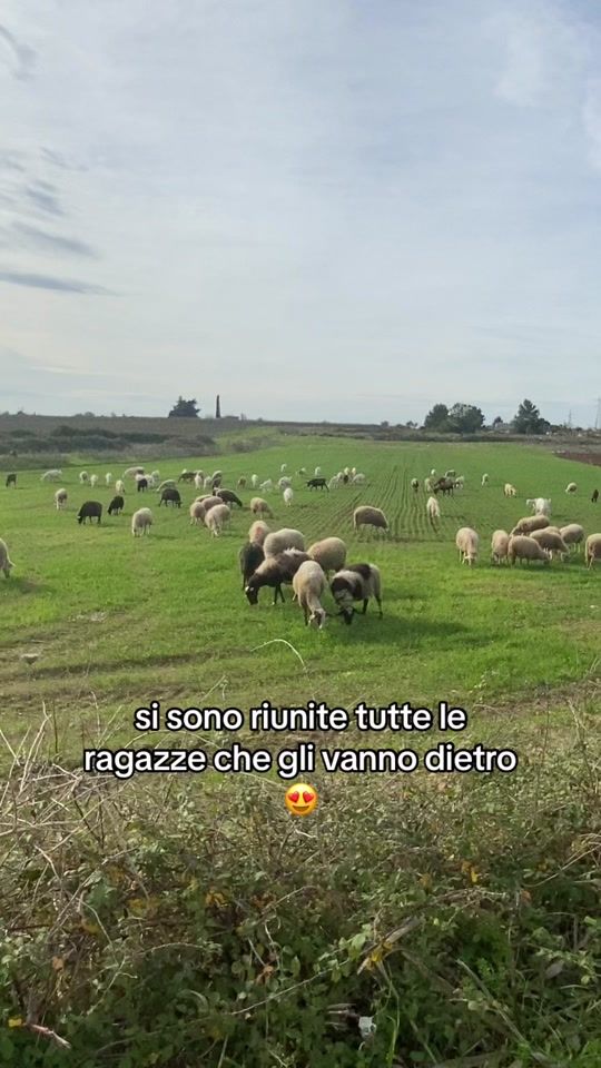 TikTok video thumbnail by sofiamurciano