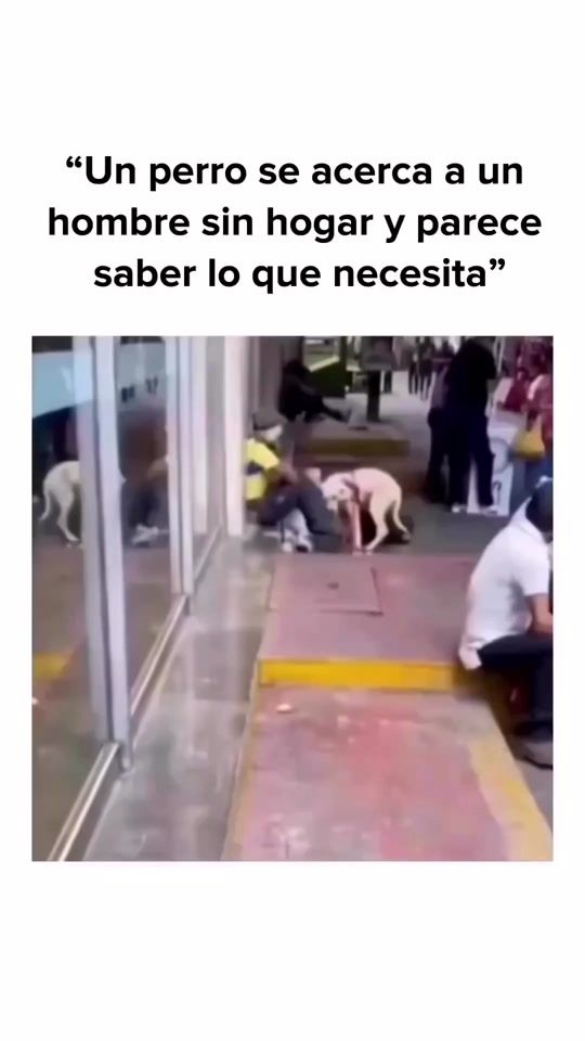 TikTok video thumbnail by consulagency