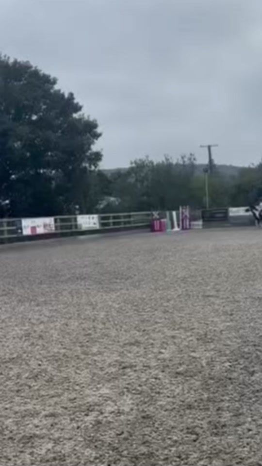 TikTok video thumbnail by skyeanimals24