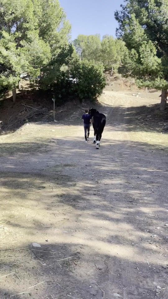 TikTok video thumbnail by mayabossi5