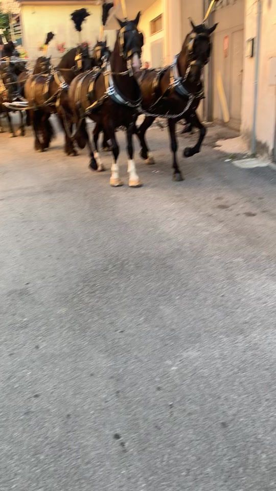 TikTok video thumbnail by francescobovino23