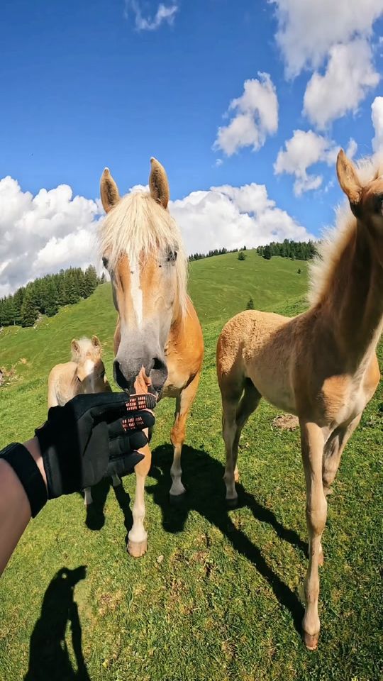 TikTok video thumbnail by zommylens