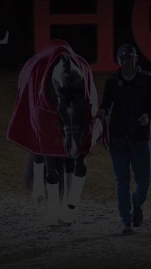 TikTok video thumbnail by horse.edits000
