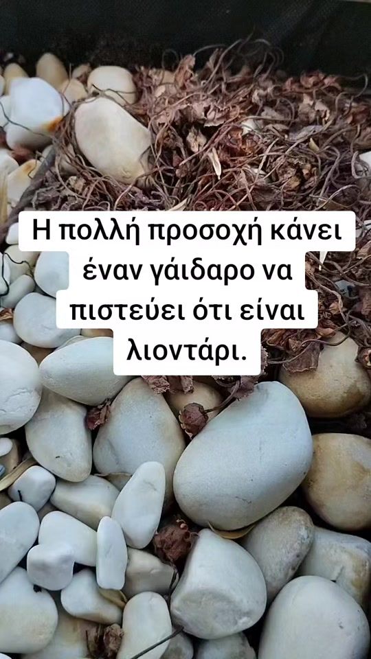 TikTok video thumbnail by billy11gunn