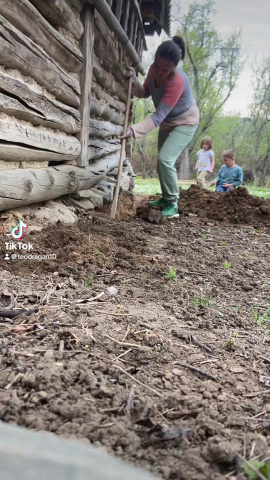 TikTok video thumbnail by teofilalin