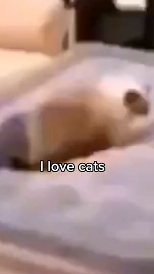 TikTok video thumbnail by thatcutetiger