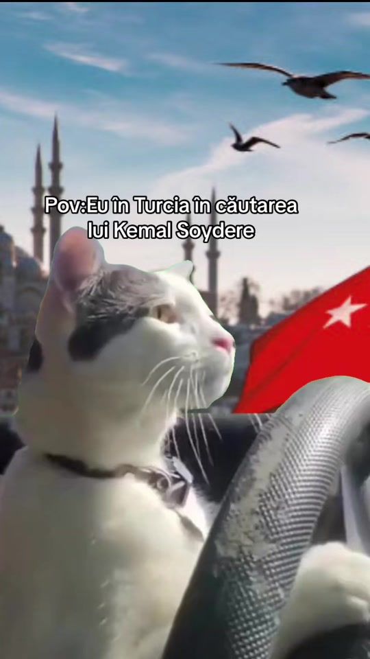 TikTok video thumbnail by geaninastirbu2