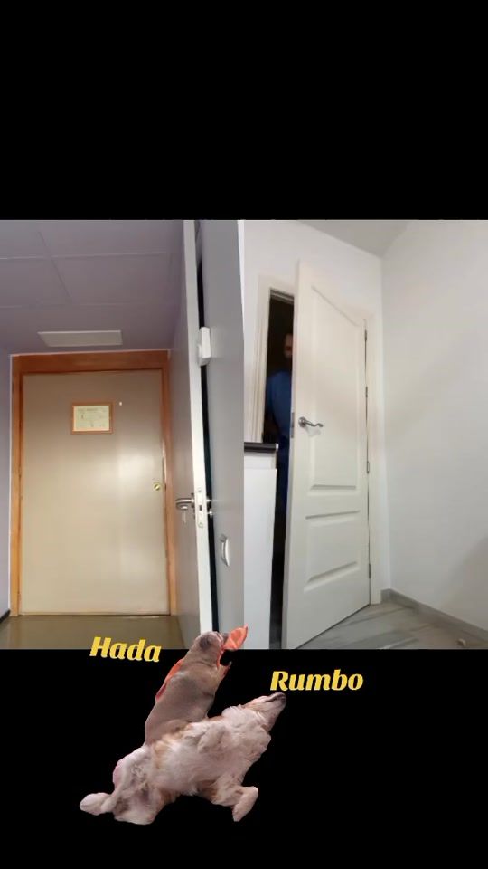 TikTok video thumbnail by marisabachiller