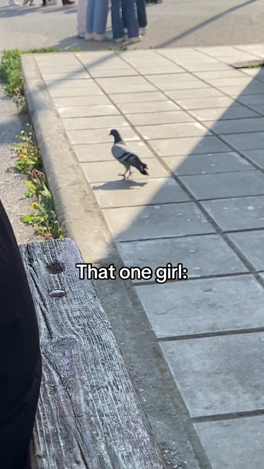 TikTok video thumbnail by keepingupwithannaaa