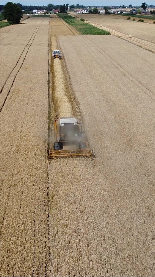 TikTok video thumbnail by jaqob_agri