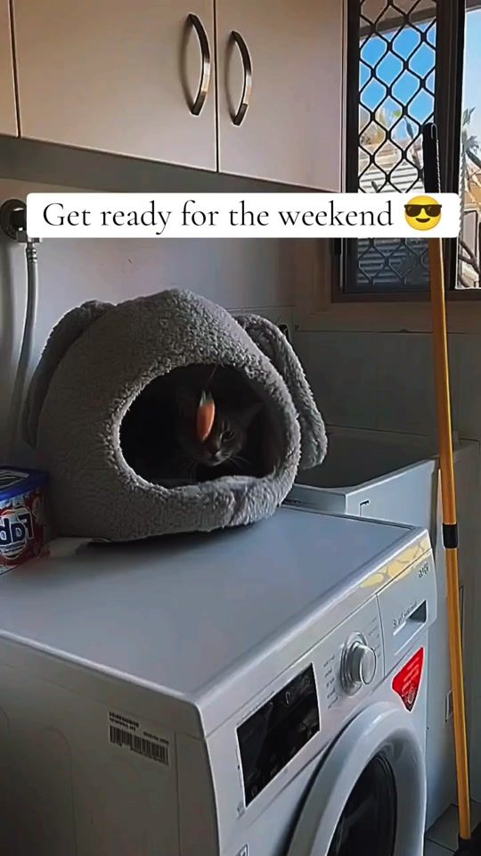 TikTok video thumbnail by cloudsoul2000