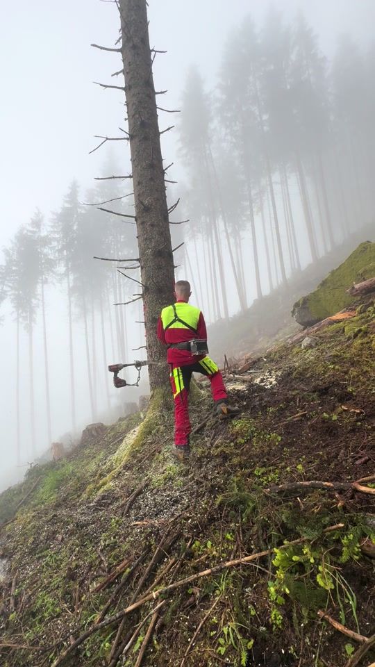 TikTok video thumbnail by cosmin_todirica