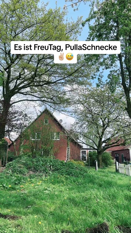 TikTok video thumbnail by dennis_maza_