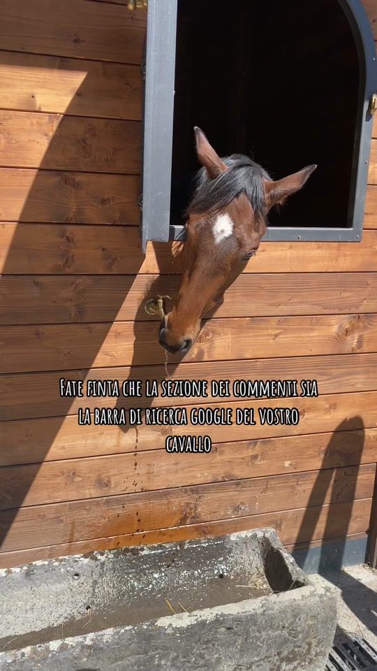 TikTok video thumbnail by serafinivalentina