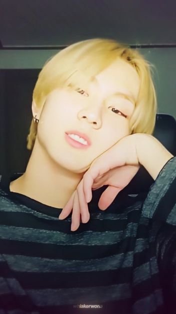 TikTok video thumbnail by whiskerwons