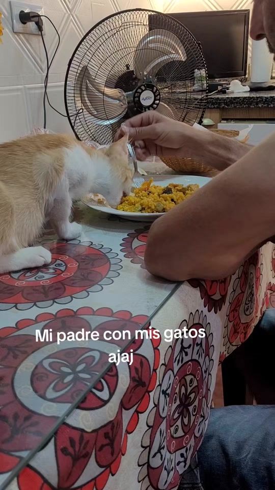 TikTok video thumbnail by gweeeen101