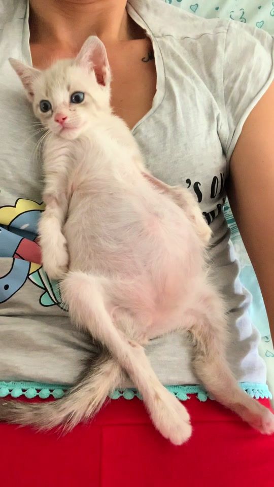 TikTok video thumbnail by minifenice