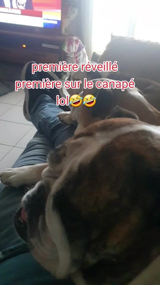 TikTok video thumbnail by oxozaboopippa