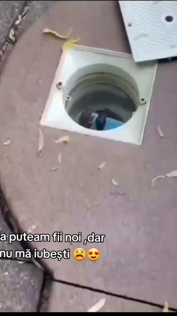 TikTok video thumbnail by arsene_gheorghe