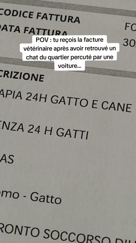 TikTok video thumbnail by cappuccino.co2