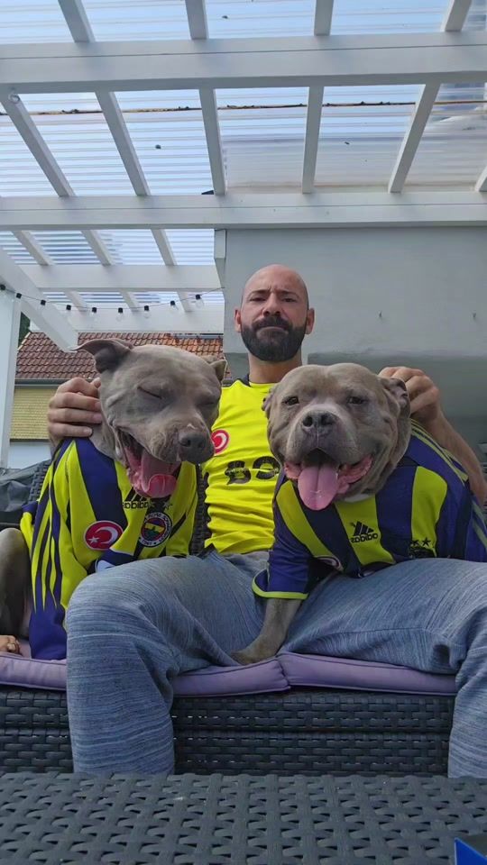 TikTok video thumbnail by einfach_nur_wir2.0