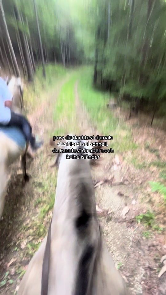 TikTok video thumbnail by hanna.und.ihre_isis
