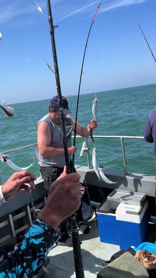 TikTok video thumbnail by sportfishingnorthsea